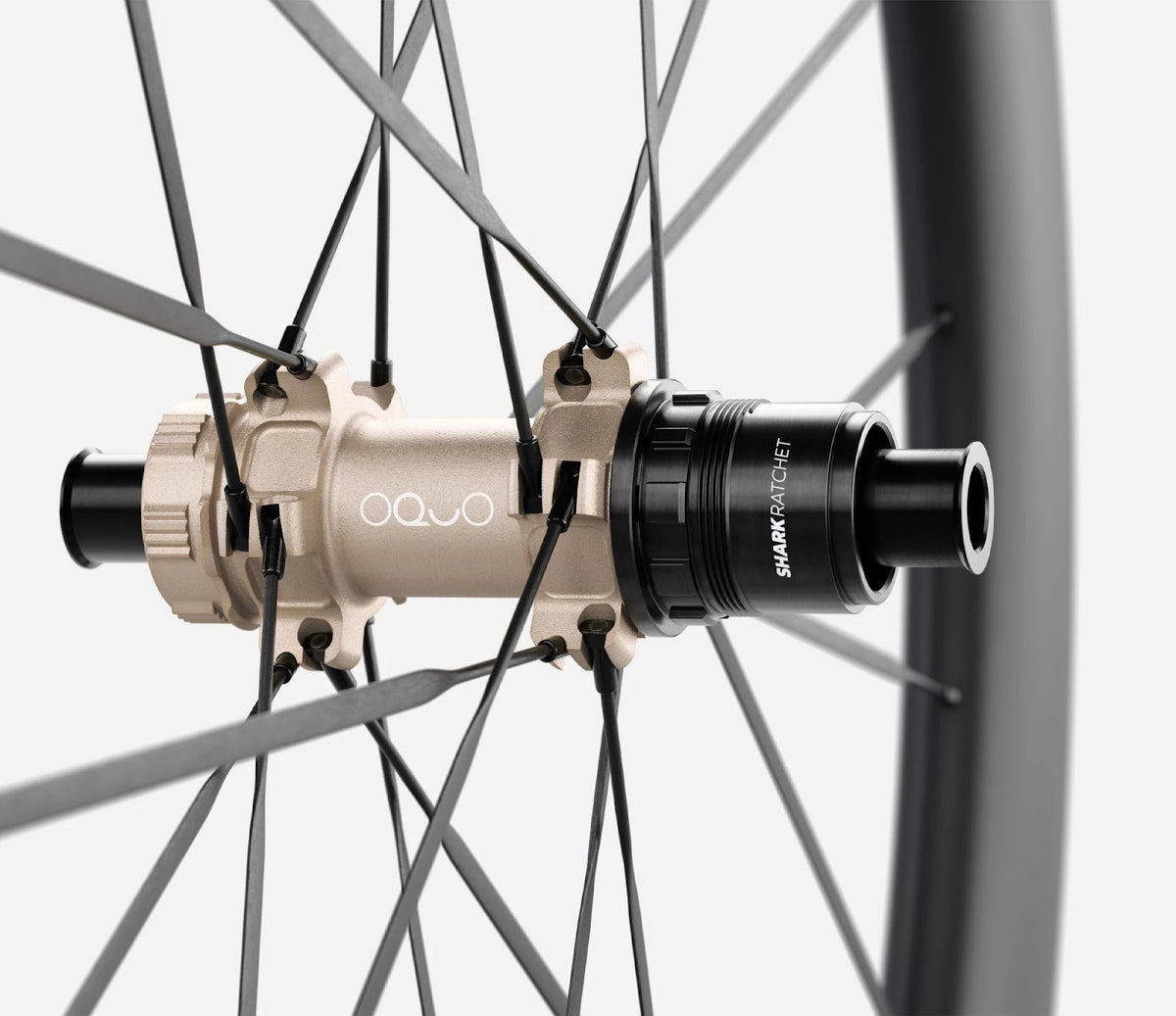 O1960037