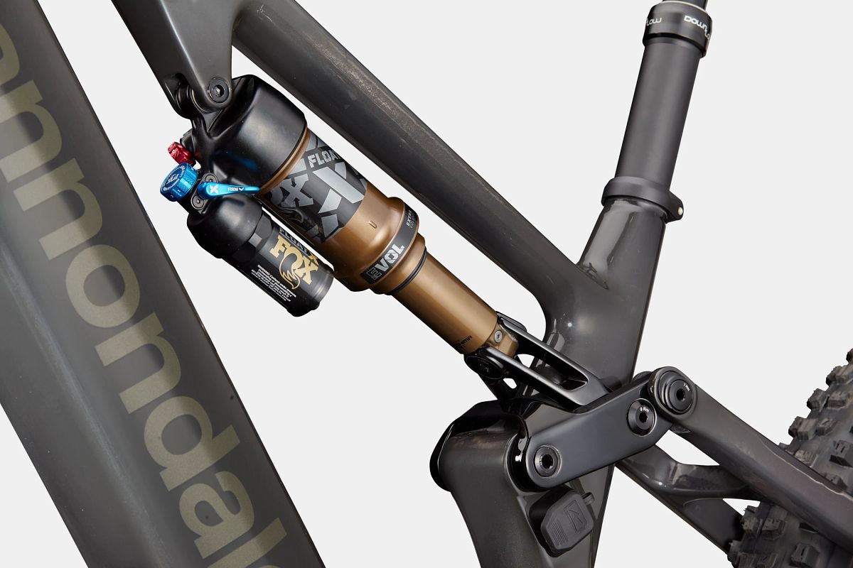 Moterra Neo Carbon SL 1 Cannondale 2024 Raw #5