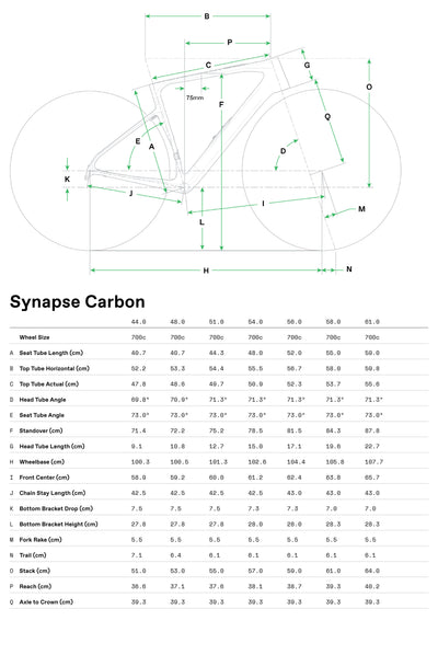 Synapse Carbon 5 Cannondale 2025 Phoenix Yellow #8